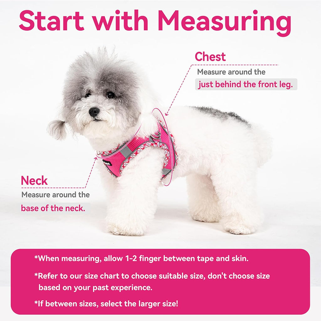 Petank pink comfort fit pet vest on a small breed