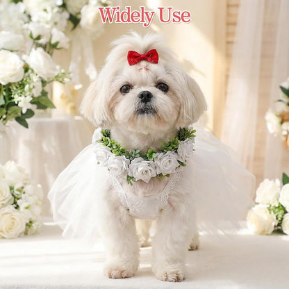 Quilax white rose pet collar styling option for cats and dogs photo props.