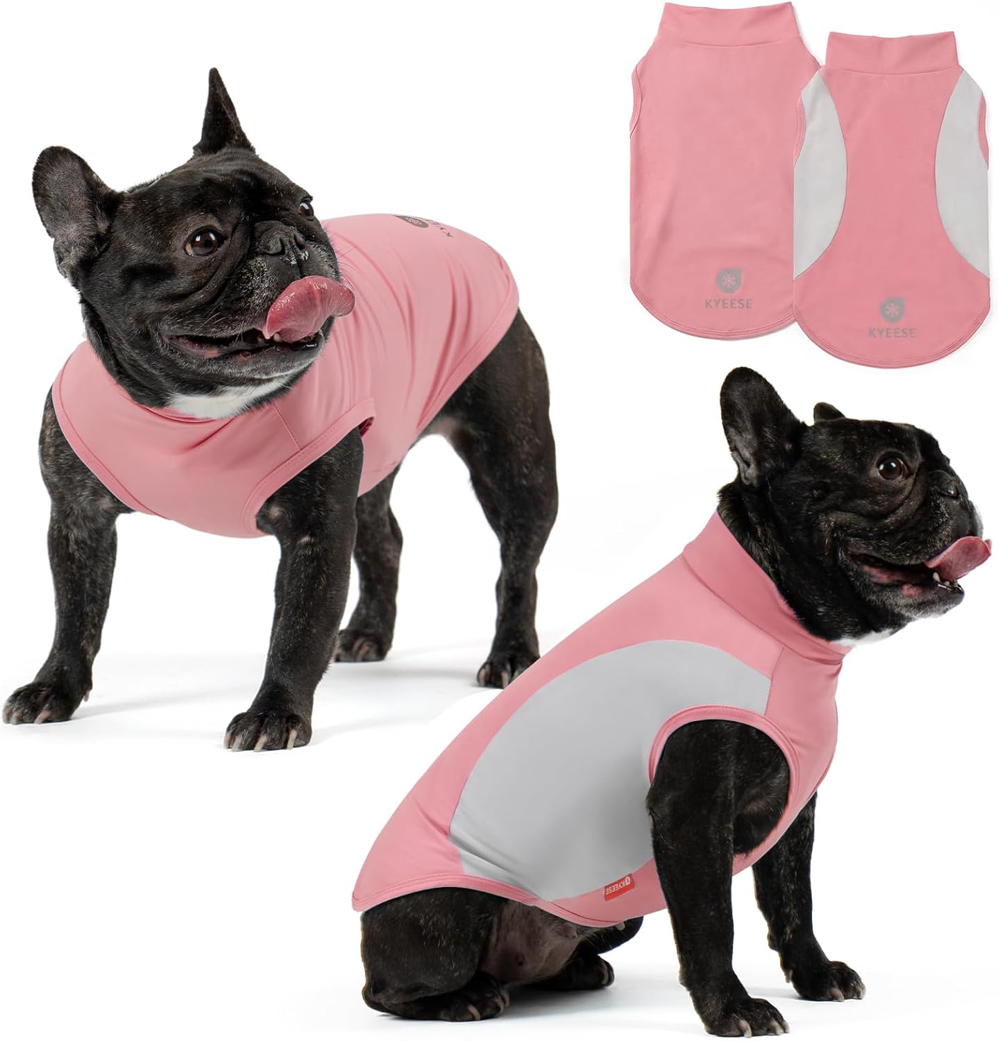 Small dog running wearing Kyeese UV protection shirt