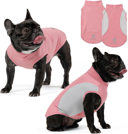 Small dog running wearing Kyeese UV protection shirt