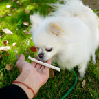 Side profile of Mon2sun raw hide chews for puppies