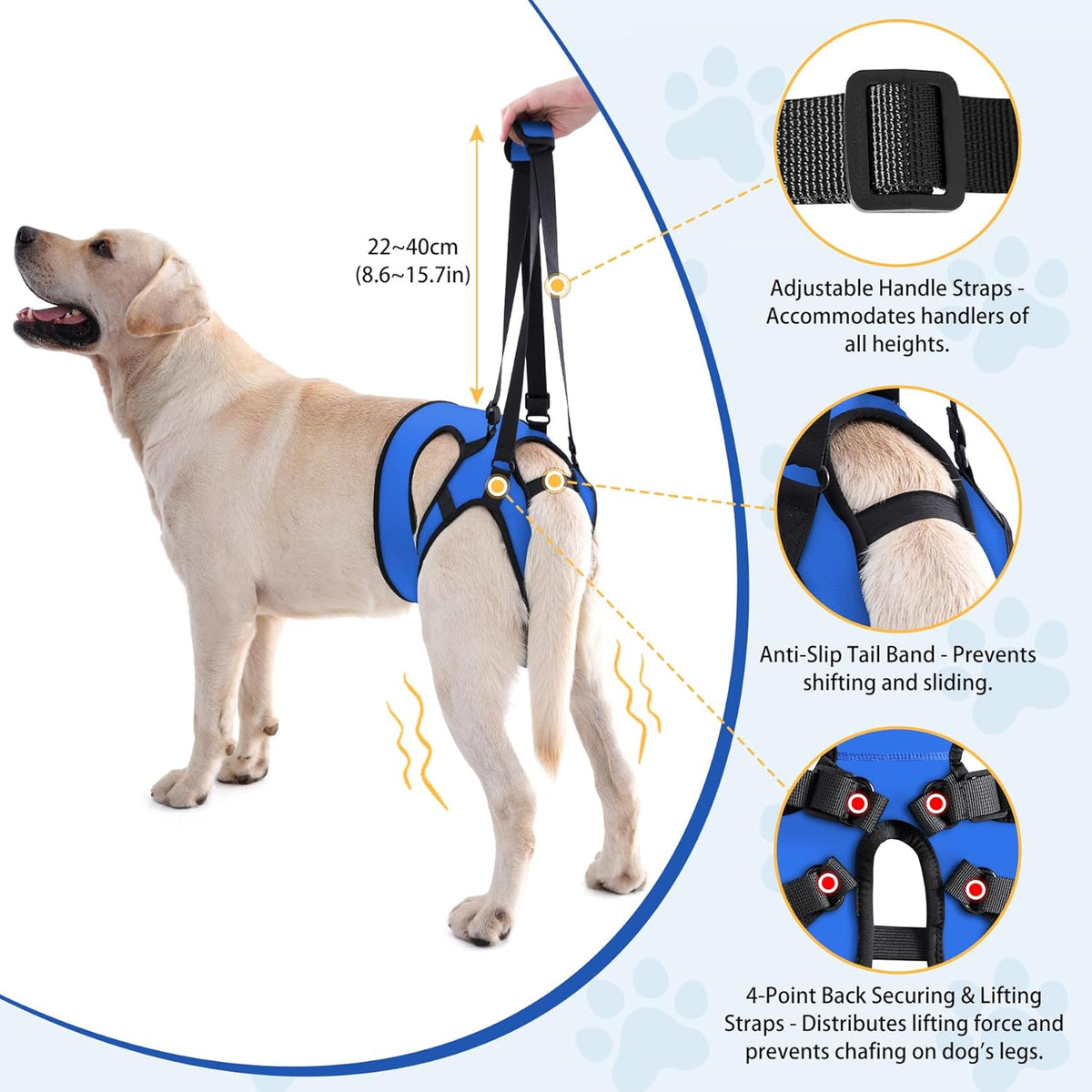 Lianzimau adjustable canine mobility aid for senior dogs