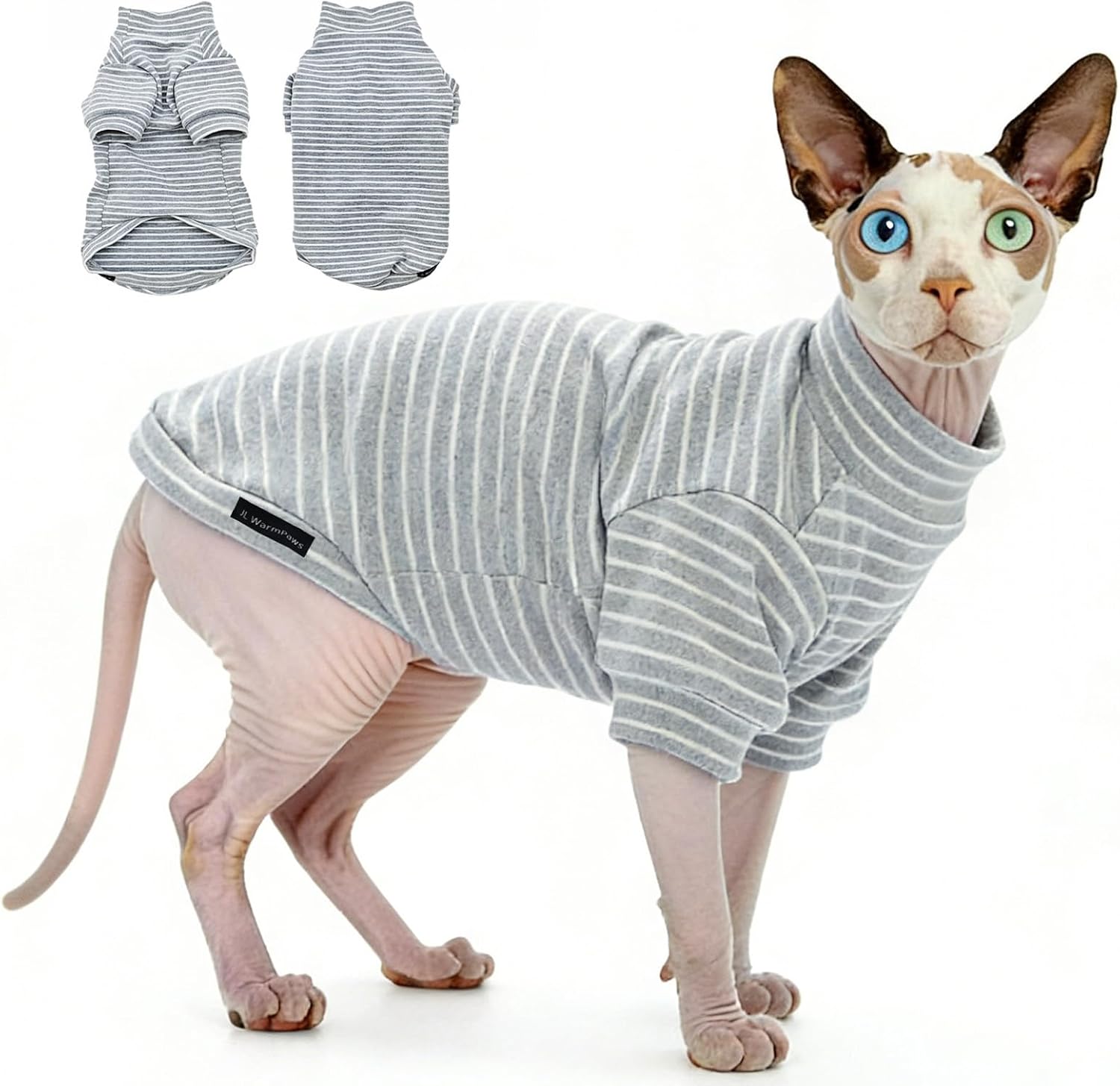 Detailed sizing chart for hairless cat apparel