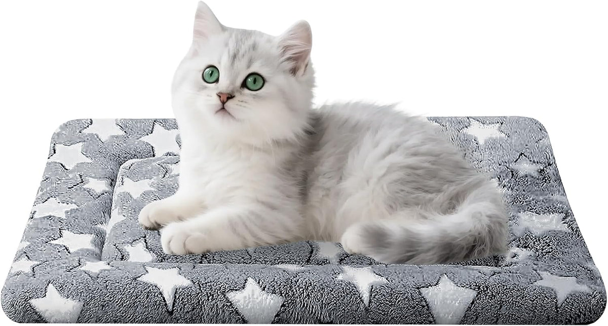 Lightweight washable cat bed mat being placed into a washing machine