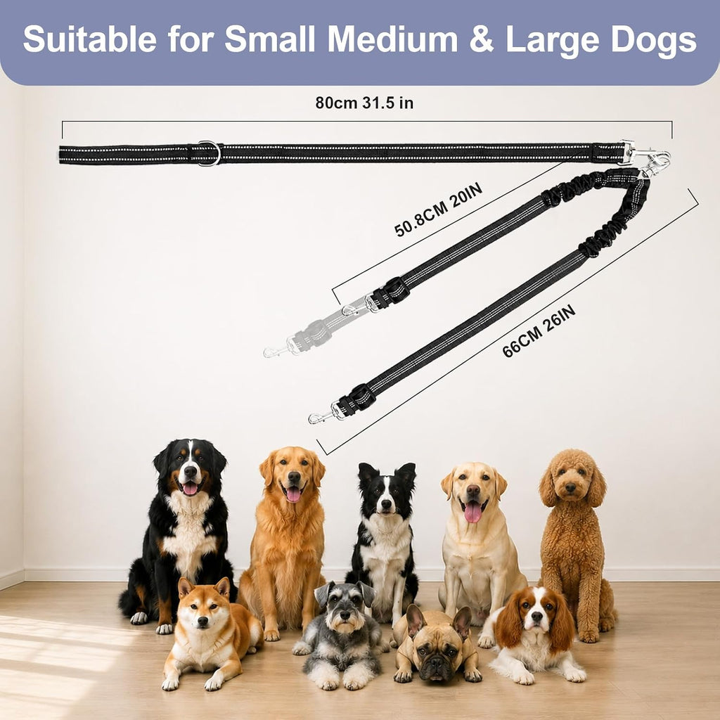PUEENOD dual dog walking system fully extended to display the 31.5-inch main lead and splitter sections.