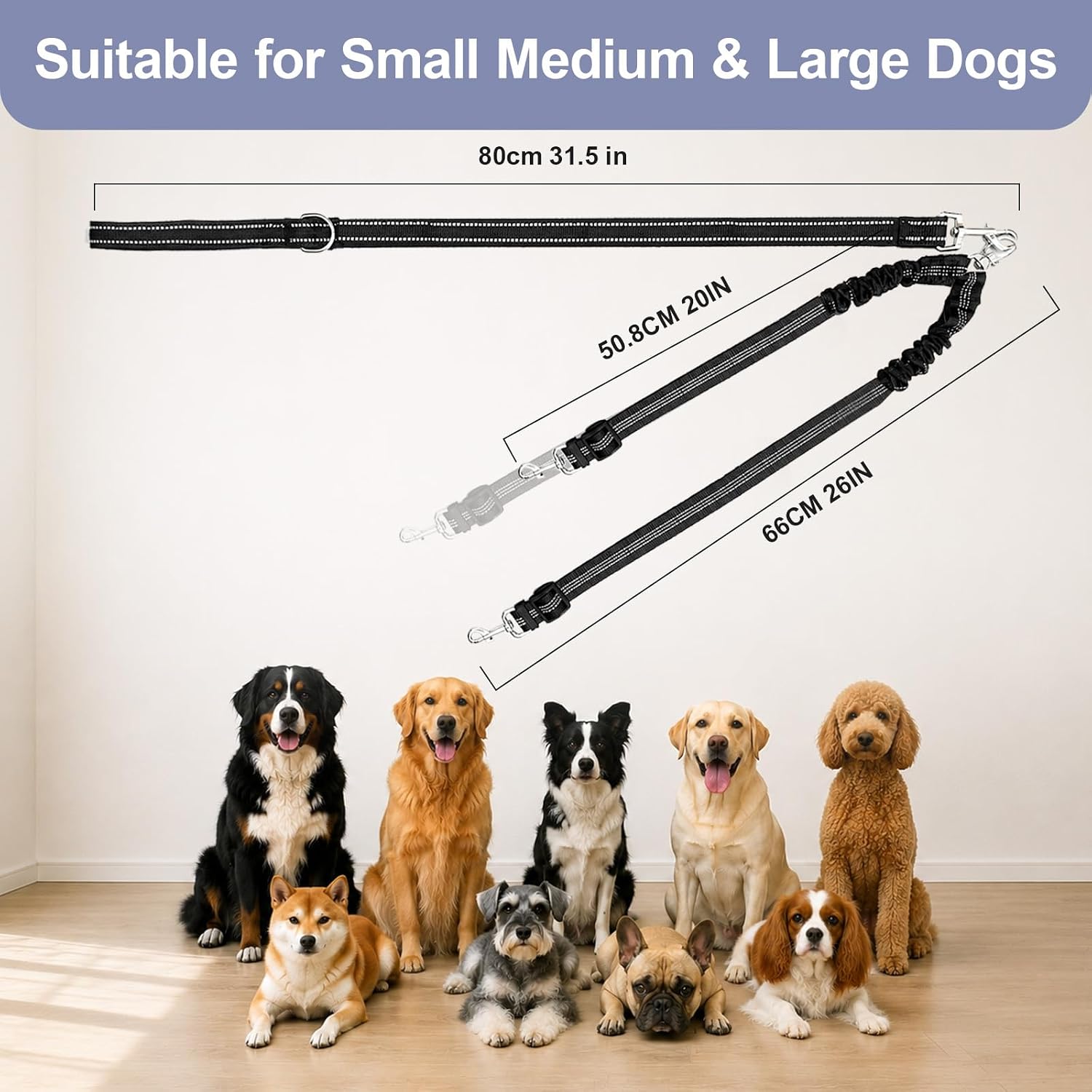 PUEENOD dual dog walking system fully extended to display the 31.5-inch main lead and splitter sections.