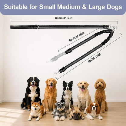 PUEENOD dual dog walking system fully extended to display the 31.5-inch main lead and splitter sections.