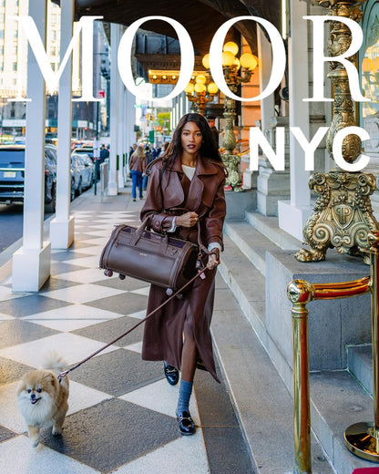 Ergonomic handles on Moor Nyc cocoa pet travel bag