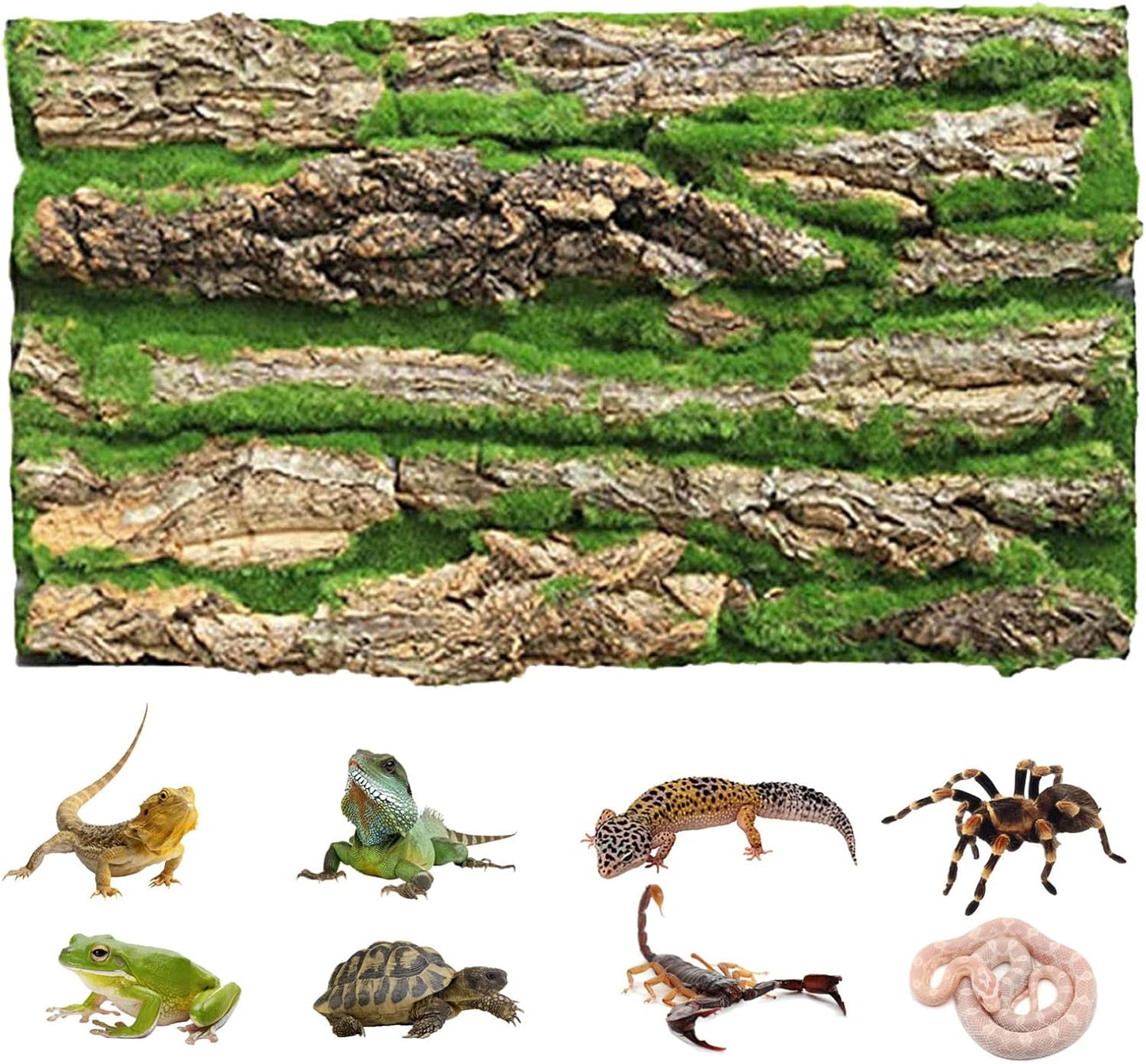 PINVNBY Reptile Terrarium Cork Background, Bearded Dragon Tank Bark Backdrop Wall Decor with Artificial Moss for Gecko Lizard Tortoise Frog Chameleon(4 Pack) - Image 12