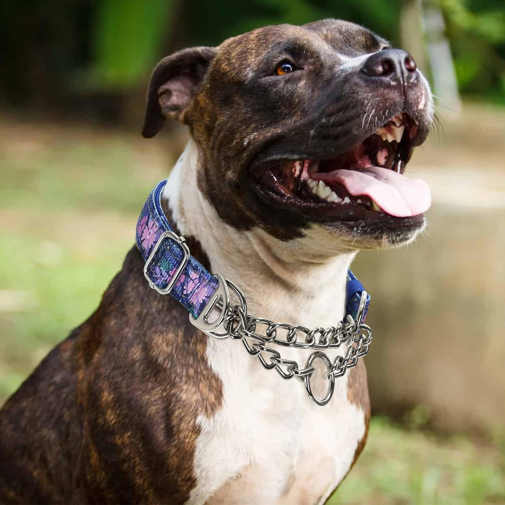 Bohemian floral pattern martingale slip collar on a large breed dog.