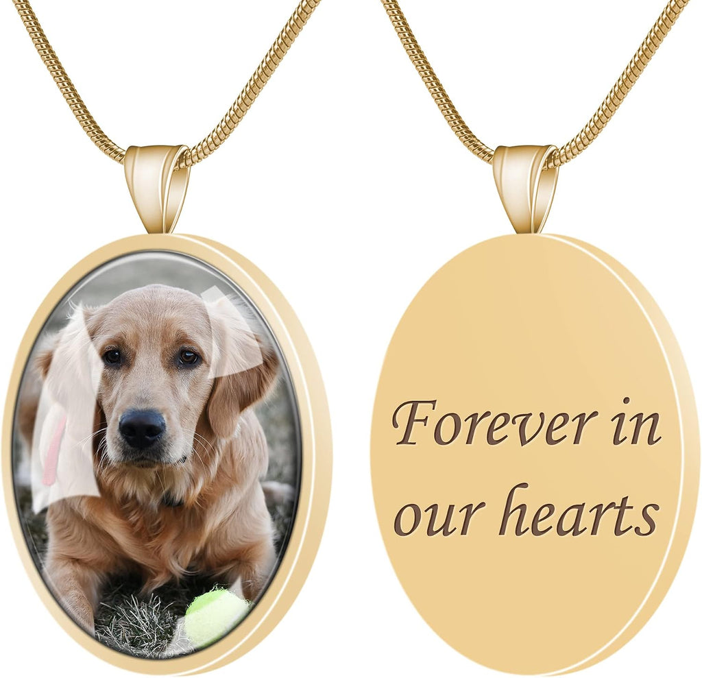 Farfume luxury jewelry box for pet memorial necklace