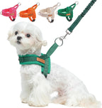 BEAUTYZOO Dog Harness for Small Dogs, No Pull Dog Harness and Leash Set, Soft Escape Proof Puppy Vest Harness with Handle, Reflective Lightweight Step in Harness for Girl Boy Dogs, Beige XS - Image 12