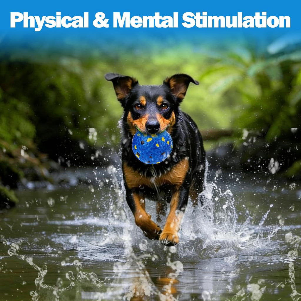 Mity Rain interactive dog ball for large breeds