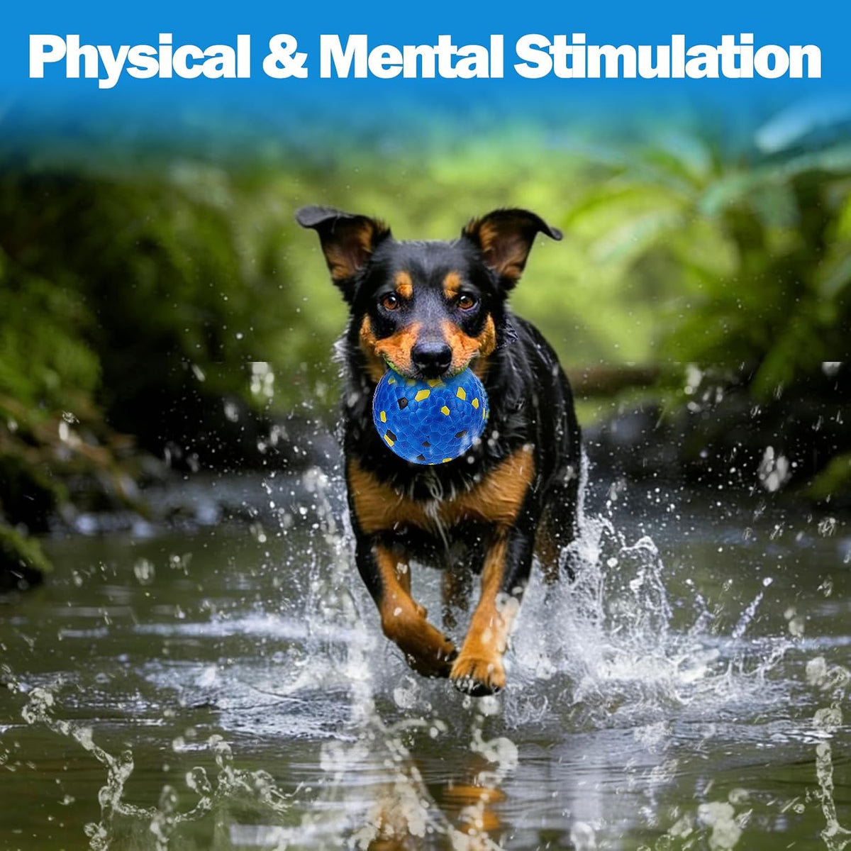 Mity Rain interactive dog ball for large breeds