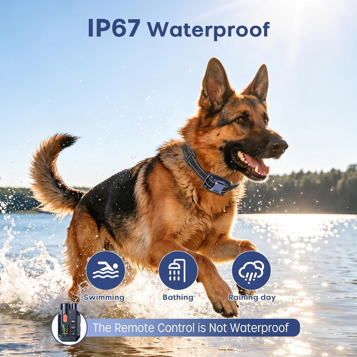 Pupkids remote control for dog training with digital display