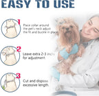Included flea comb and tick removal tweezers for dogs