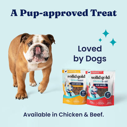 Healthy dog meal topper with kale pumpkin and carrots