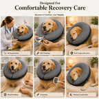 Premium inflatable dog donut collar for upper body wound protection