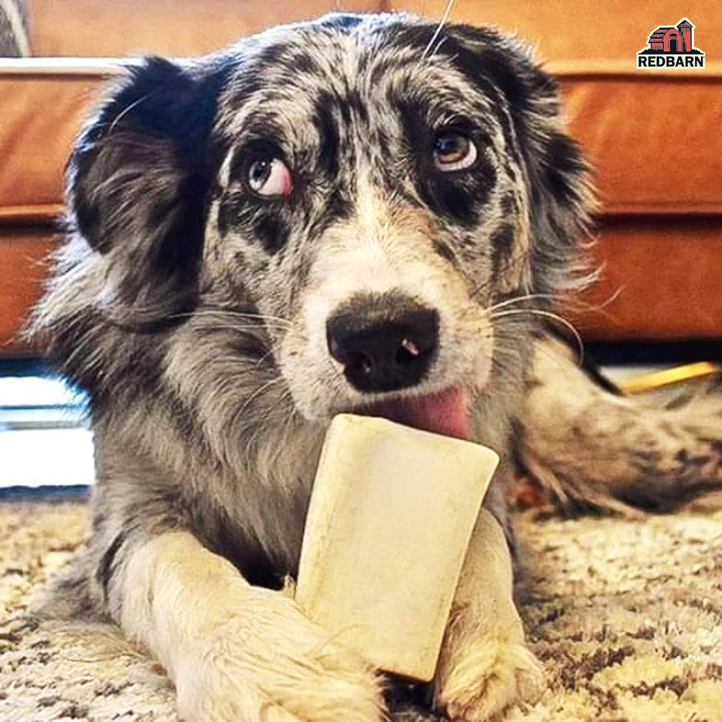 Four count packaging of Redbarn USA imported dog treats
