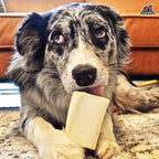 Four count packaging of Redbarn USA imported dog treats