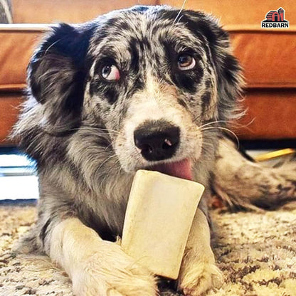 Four count packaging of Redbarn USA imported dog treats