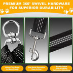 Caldzur two dog walking lead featuring shock absorbing elastic bungee cords