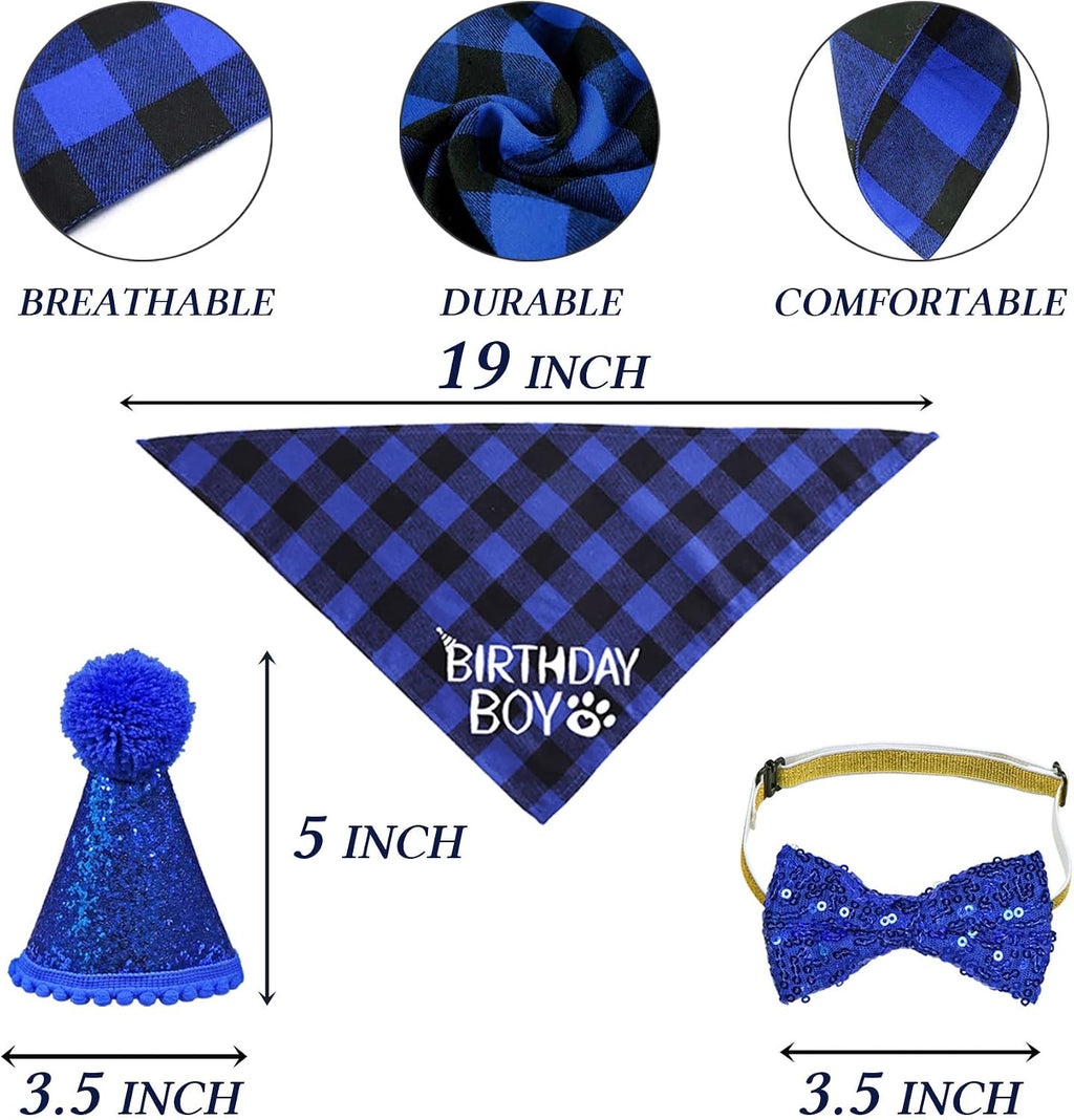 Cat wearing bow tie collar for birthday party