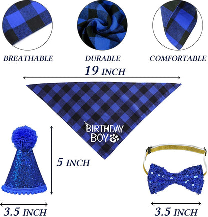 Cat wearing bow tie collar for birthday party