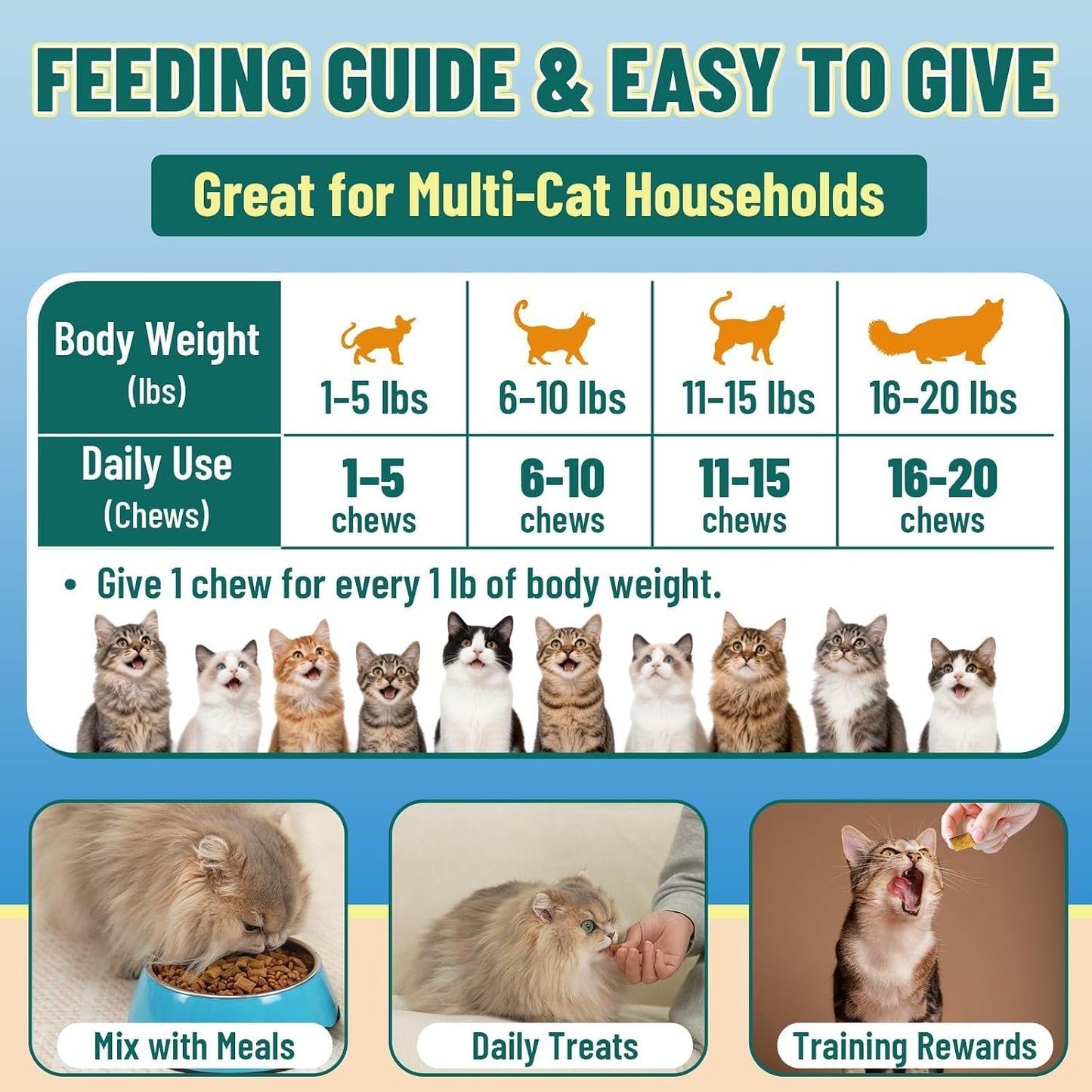 VICSOM imported taurine chews for senior cat vitality back panel directions