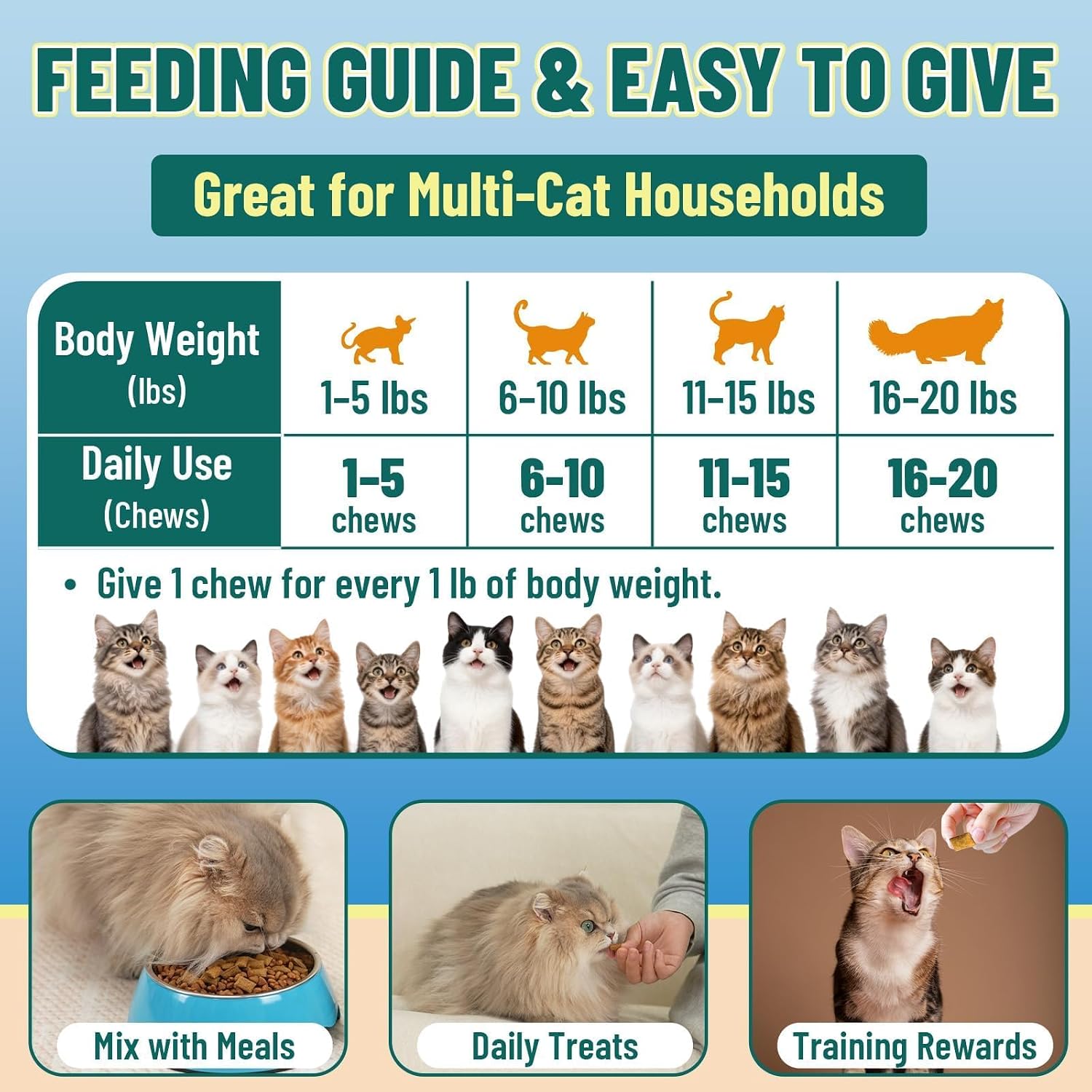 VICSOM imported taurine chews for senior cat vitality back panel directions