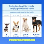 Native Pet Hip & Joint Advanced Care Dog Joint Supplement Powder for Mobility & Movement Support, Joint Supplement for Dogs with HMB, UC-II Collagen, Green Lipped Mussel & Hyaluronic Acid - 30 Scoops - Image 10