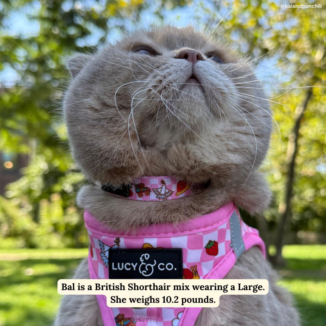 Premium lightweight kitten collar featuring a removable silver jingle bell accessory