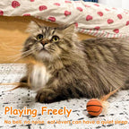Elastic rubber cat bouncy balls with realistic fluttering feathers for indoor kittens