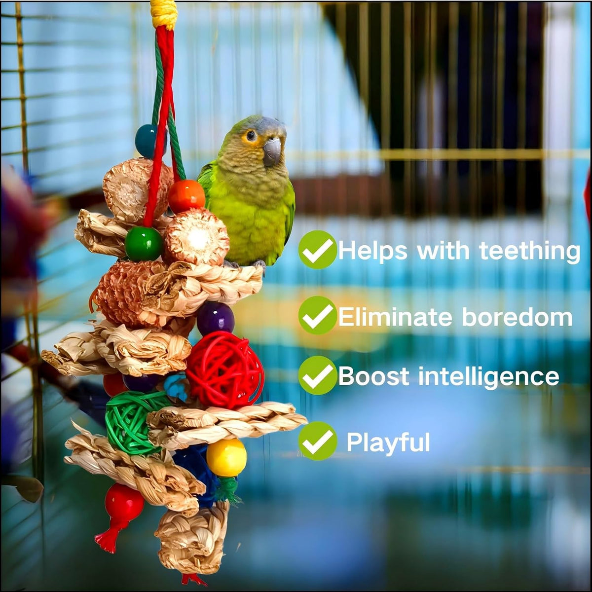 XLpeixin natural bird foraging toys hanging setup