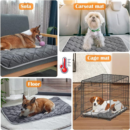 ULIGOTA self heating pet pad rolled up to demonstrate lightweight portability for travel.