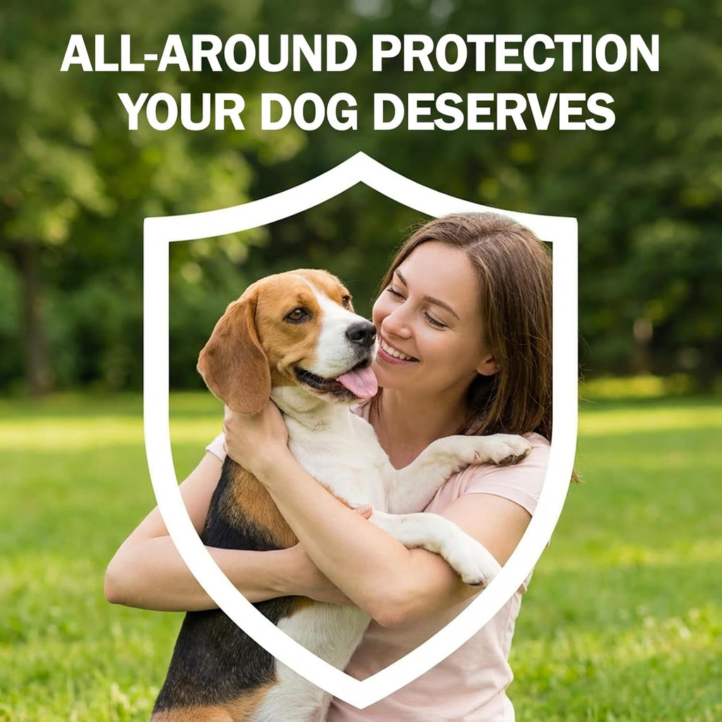 Authentic USA imported dog pest protection packaging showing multiple monthly treatment tubes.