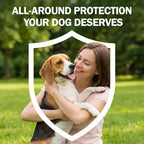 Authentic USA imported dog pest protection packaging showing multiple monthly treatment tubes.