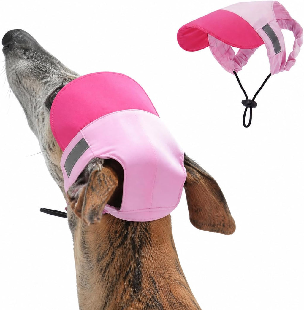 Small breed dog portrait wearing stylish pink sun hat