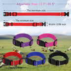 Gindoor 5 pack adjustable nylon sheep collars in assorted colors