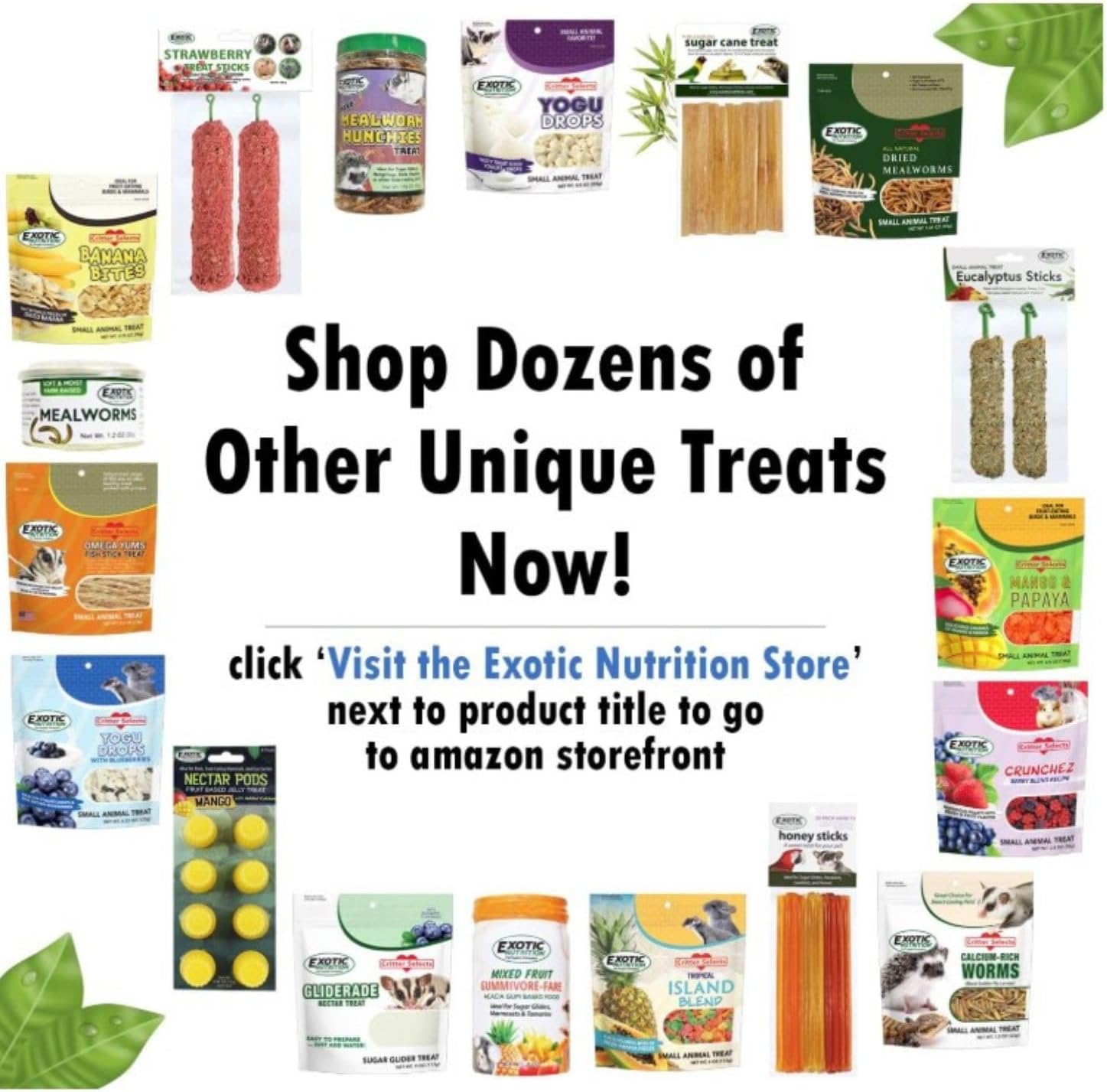 Exotic Nutrition premium green pea flakes lifestyle display