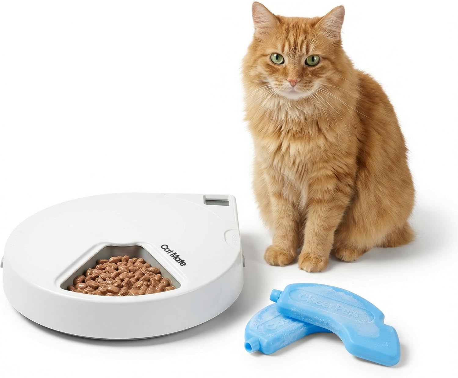 Cat Mate C500 automatic pet feeder front view showing digital timer screen