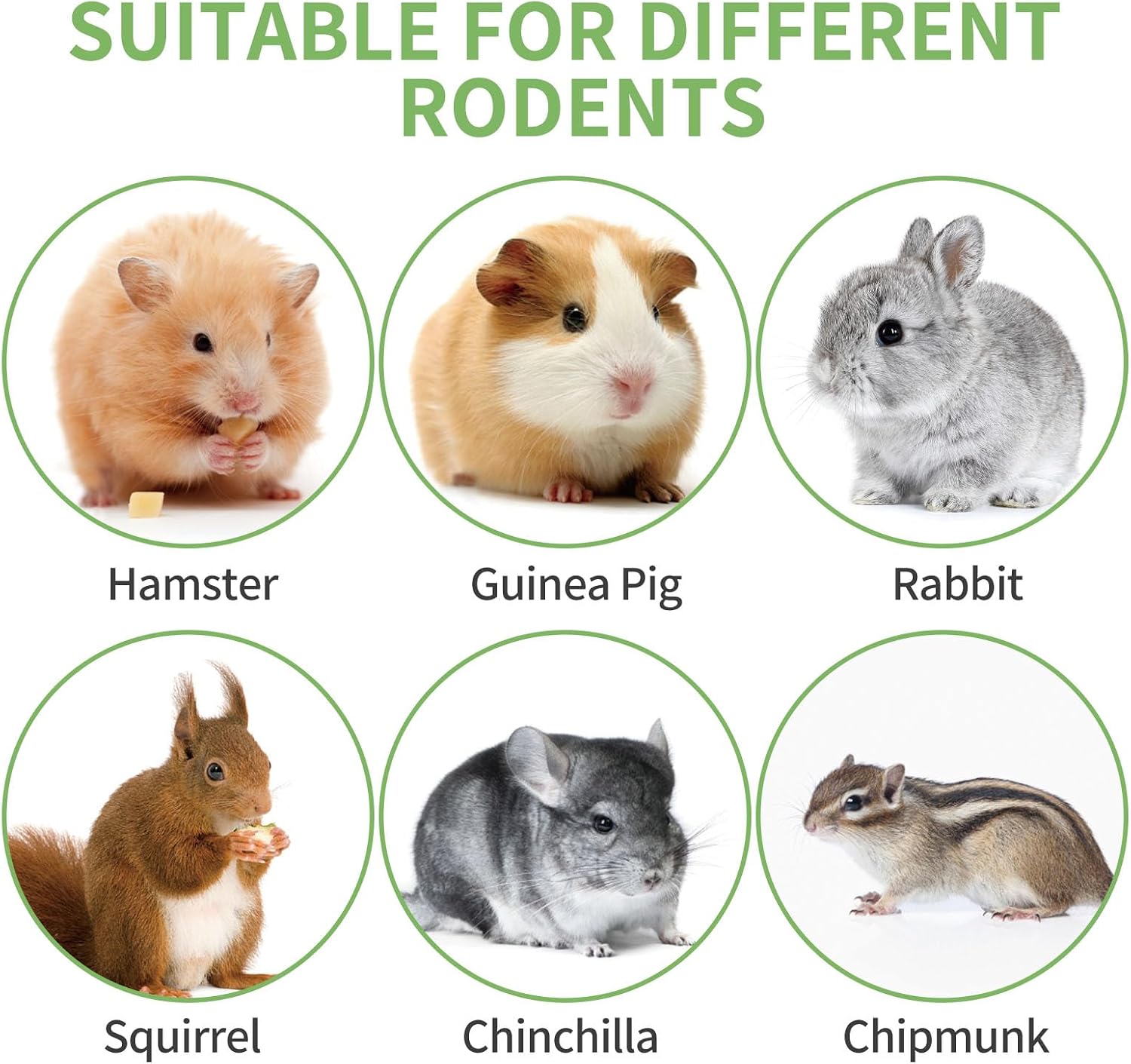 Safe dye free rodent foraging treats and teething accessories displayed on a clean background