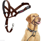 Halti Headcollar - Stop Your Dog Pulling on the Leash. Adjustable, Reflective and Lightweight, with Padded Nose Band. Dog Training Anti-Pull Collar for Medium Dogs (Size 3, Black) - Image 15