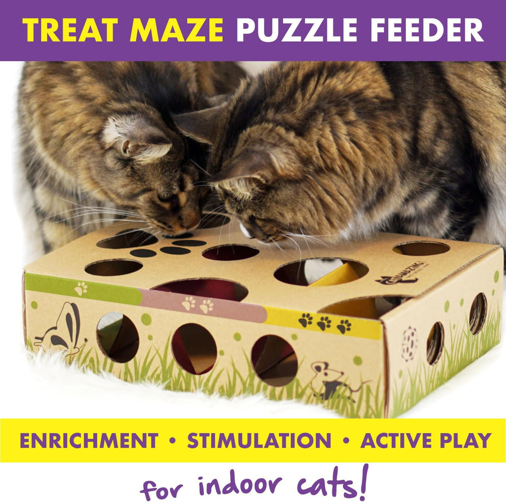 Top down view of Cat Amazing puzzle box opening holes