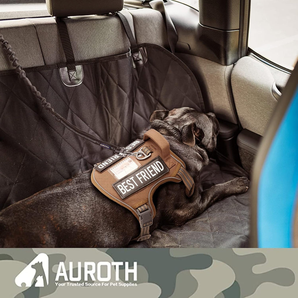 AUROTH premium pet leash highlighting the reflective safety stitching for night walks