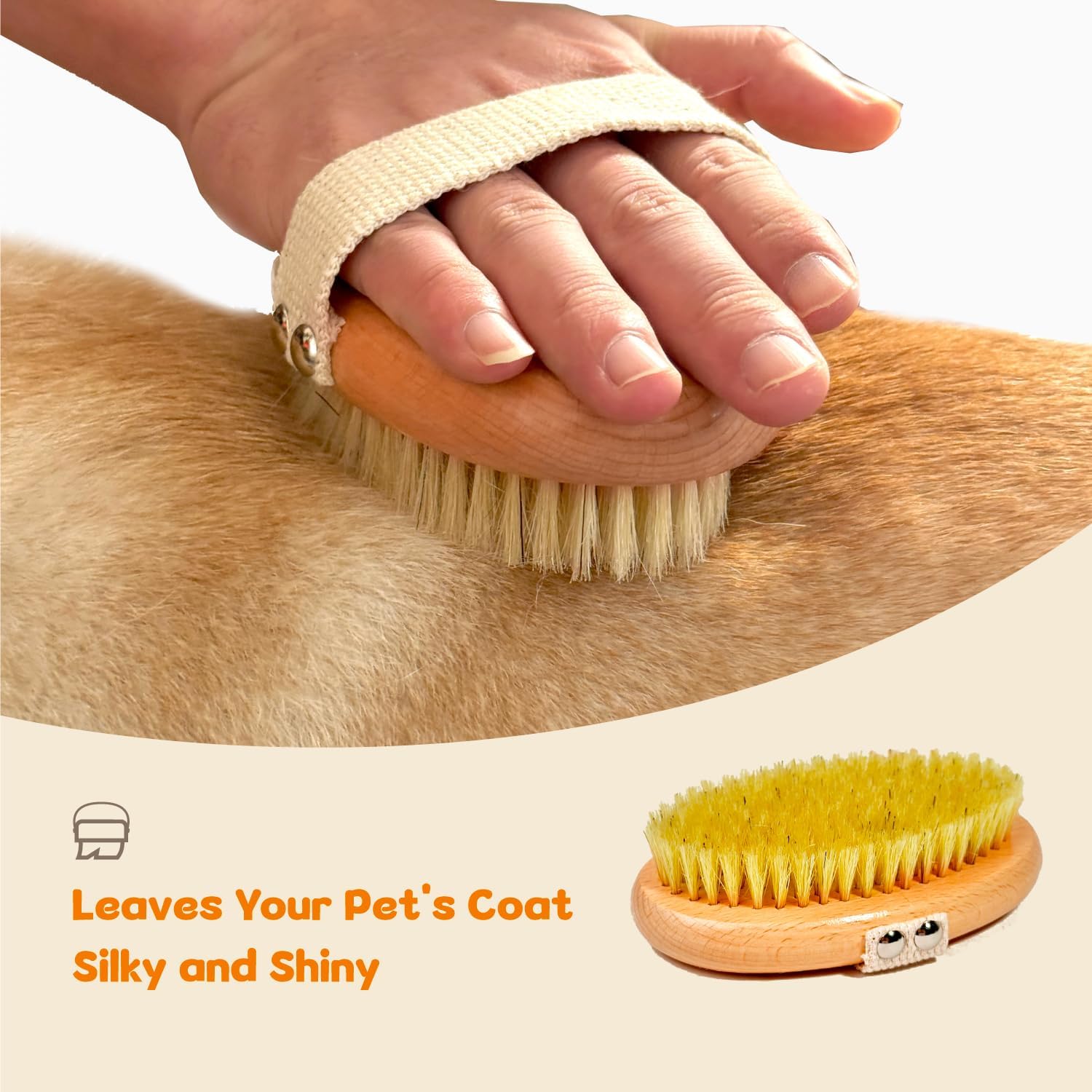 Authentic USA imported boar bristle brush for healthy dog coats