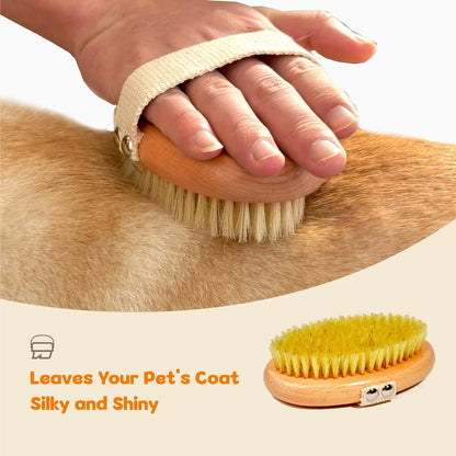 Authentic USA imported boar bristle brush for healthy dog coats