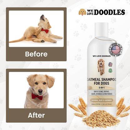 We Love Doodles premium dog shampoo being used in a grooming setting