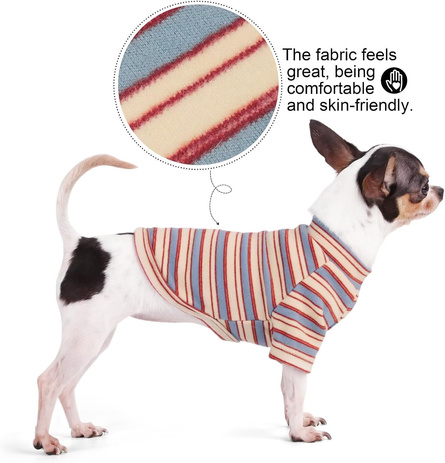 Small dog wearing blue and red striped Paiaite shirt