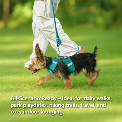 Authentic imported Sunraymascota mesh pet harness sizing view for toy breeds